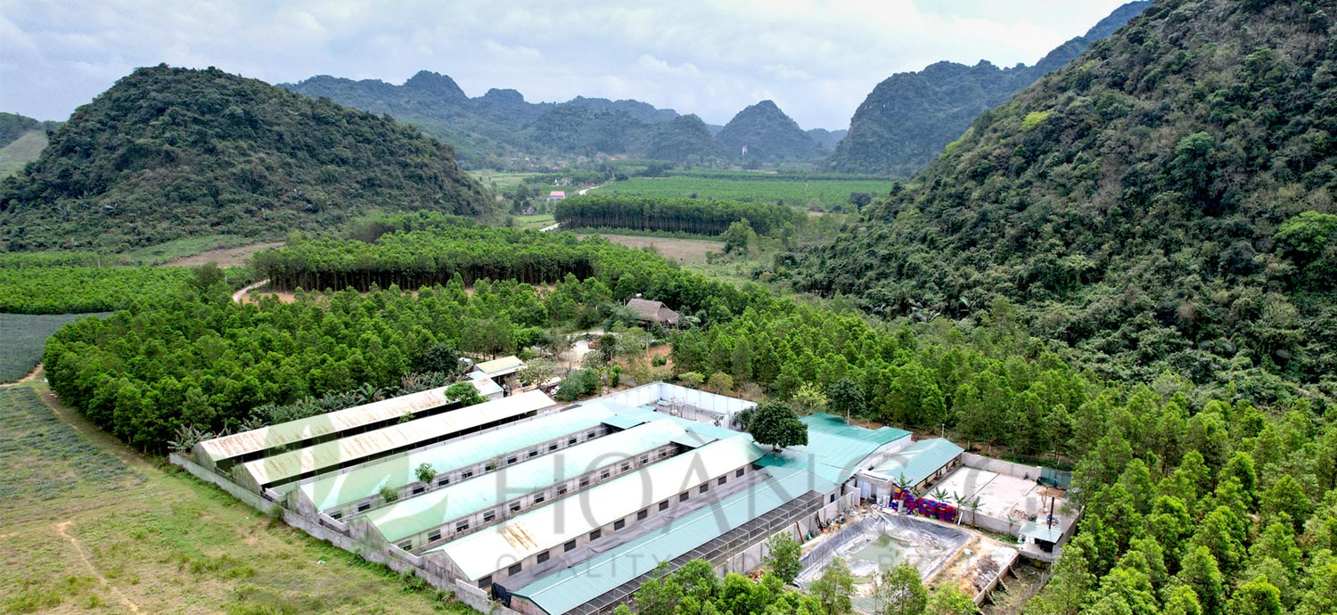 Trại khỉ ở Nho Quan Ninh Bình